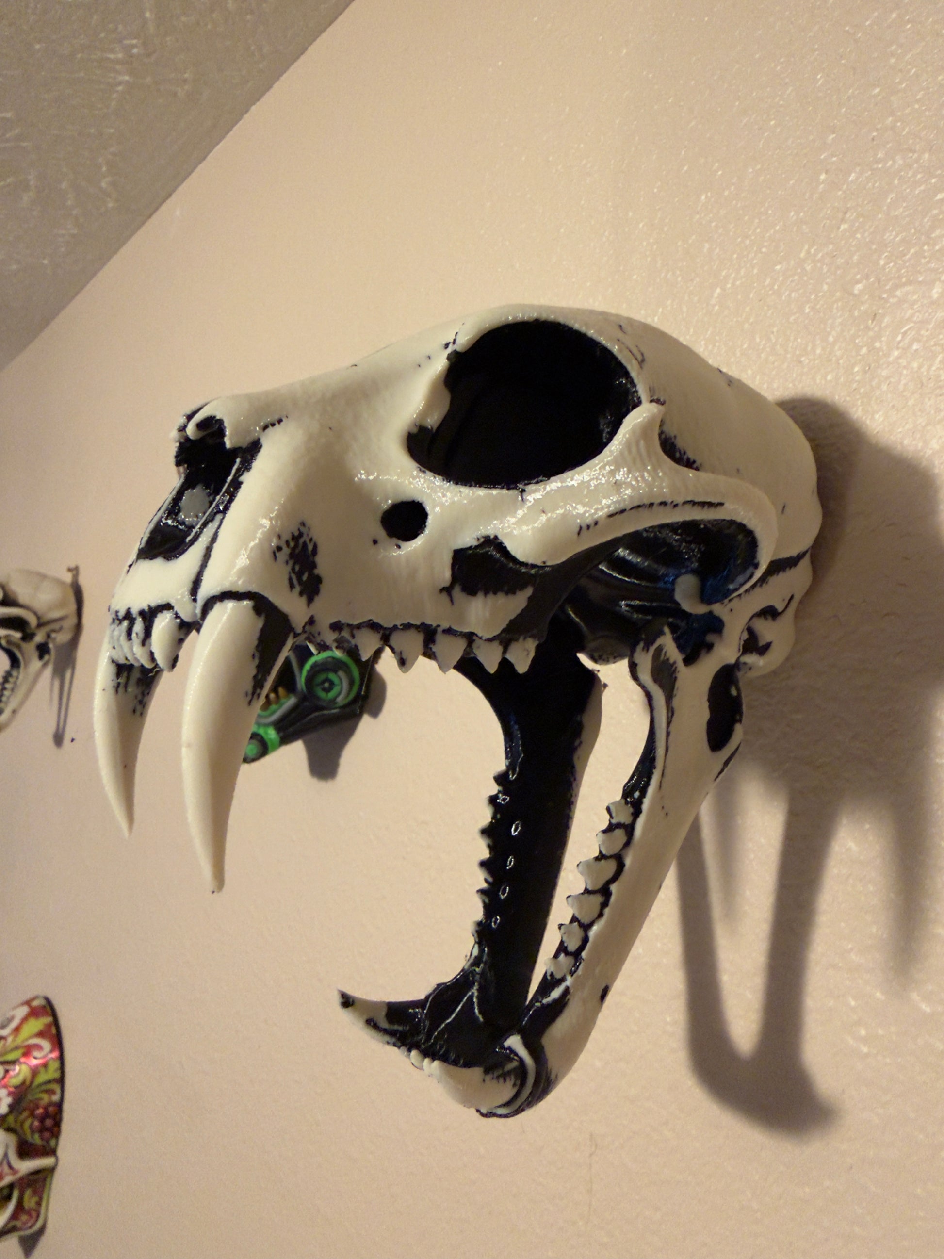 A decorative animal skull wall hanging with black painted details and large curved tusks, mounted on a textured off-white wall.