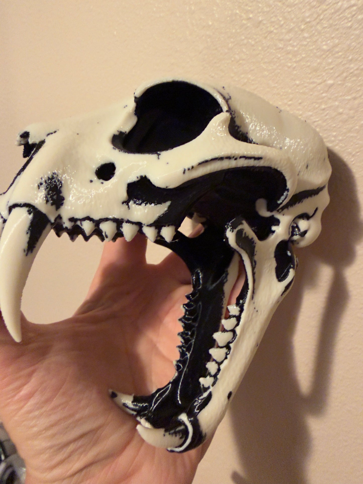 A hand holding a realistic animal skull replica, likely a small mammal or rodent skull, with black painted details and visible teeth, against a plain beige wall.