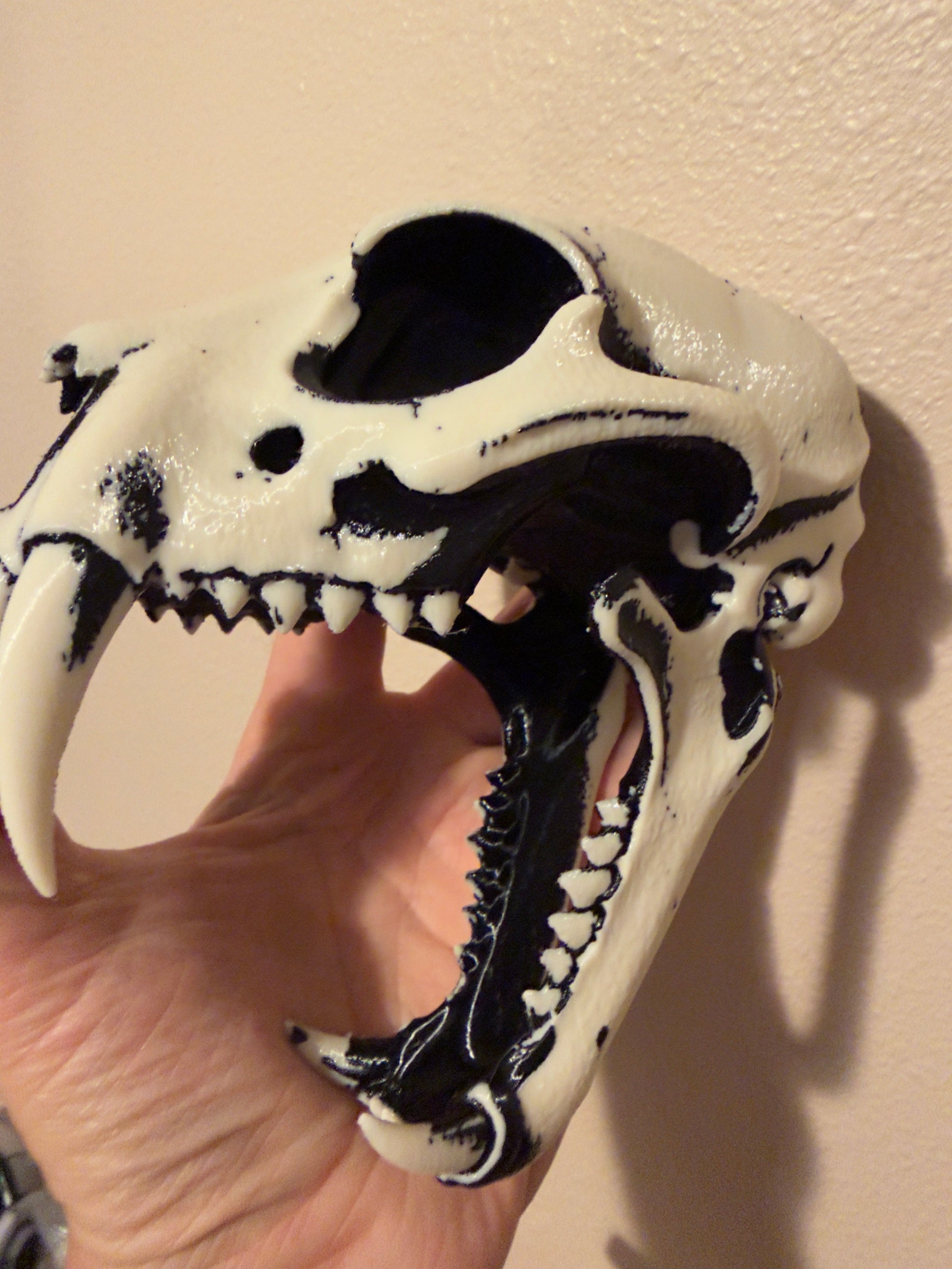 A hand holding a realistic animal skull replica, likely a small mammal or rodent skull, with black painted details and visible teeth, against a plain beige wall.