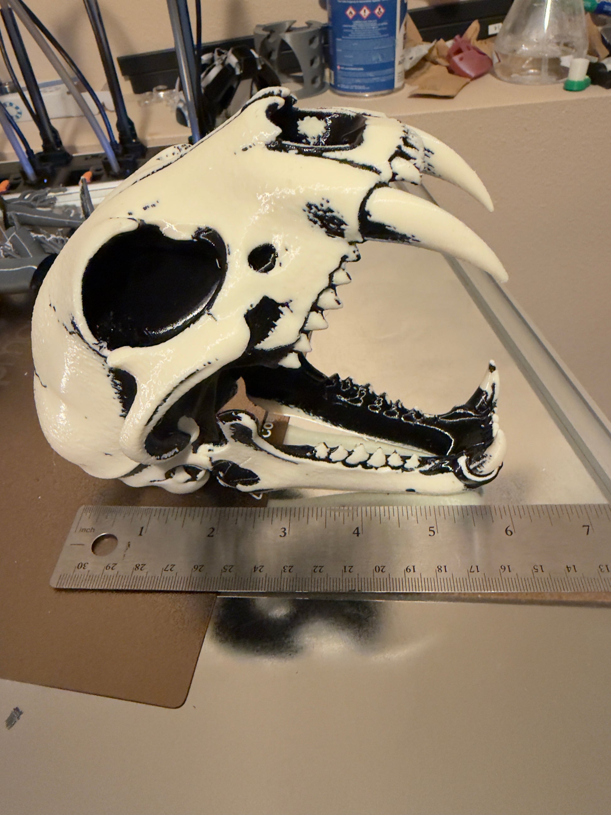A white animal skull replica with black painted details and large hollow eye sockets, shown next to a metal ruler on a tabletop in a workshop setting.