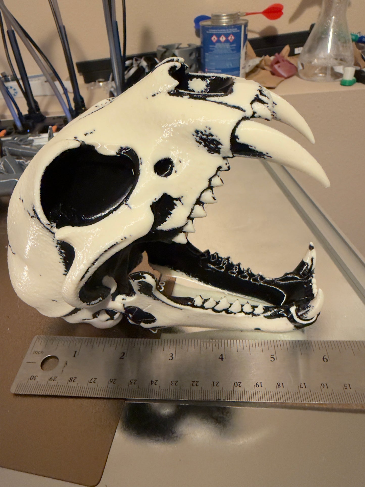 A white animal skull replica with black painted details and large openings, shown next to a metal ruler for scale in a workshop setting.